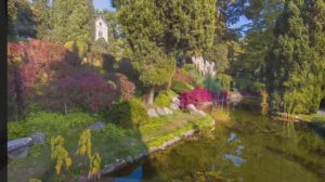 Милость Б-га Израиля