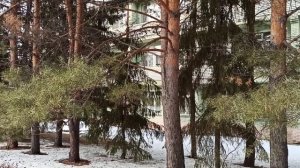 Чернолучье - зачем сюда ехать?