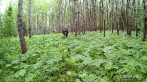 Река Мунгат. С Андреем Еньковым. Часть 1.