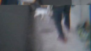 Убил прораба. Жесть. 18+