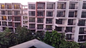 Утреннее пение птиц 19.03.25. Тайланд