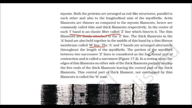 CH--17 ||  LOCOMOTION AND MOVEMENT  || CLASS 11TH  ||  NCERT READING  ||    ☘🩺🎯📚📚🔥⏲