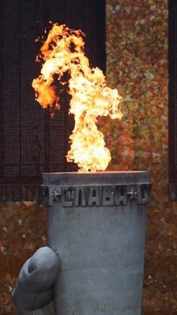 Волгоград, 9 мая. Трое с камерой
