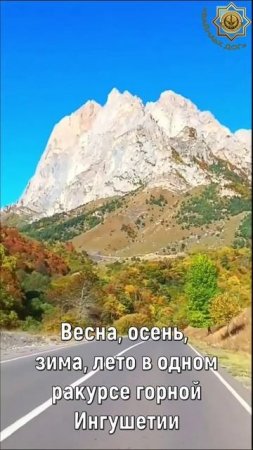 Да, да, да - это Ингушетия! Да, да, да - это Кавказ!