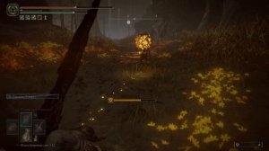 Elden Ring Старик-неприкасаемый