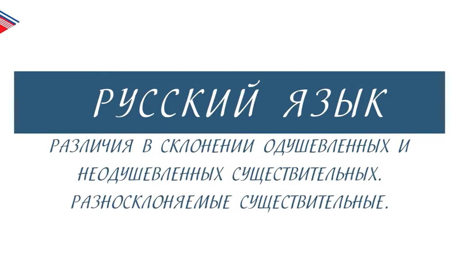 6 класс - Русский язык - Различия в склонении одушевлённых и неодушевлённых. Разносклоняемые