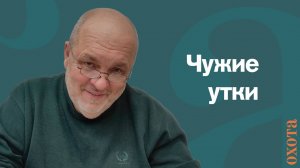 Чужие утки. Валерий Кузенков о чужих подранках.