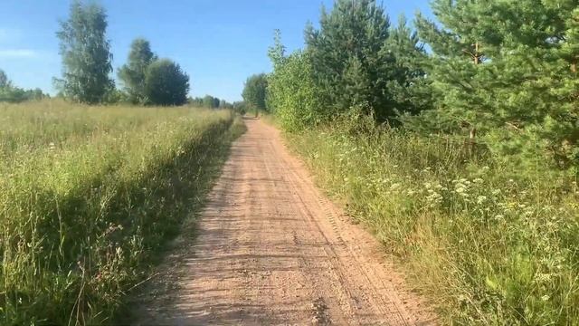 Потрясающая природа и красивые виды по пути из деревни Прозоровка в деревню Стрелка. смотреть онлайн