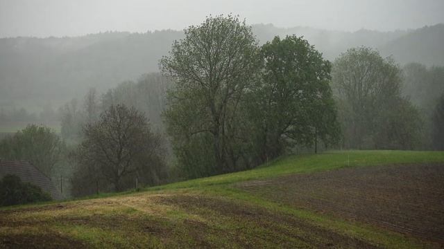 Расслабляющие звуки дождя - музыка релакса смотреть онлайн