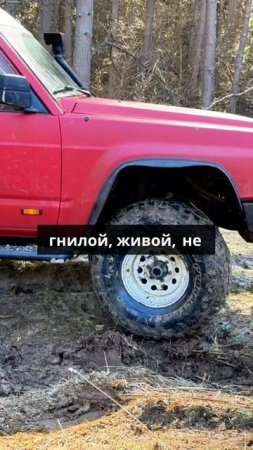 Первое_ на что я смотрю_ это рама. Обязательно рама. Потому что есть рама_ это кости_ это номерной