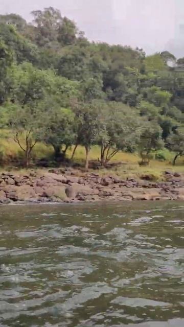 Refreshing swim in the Mula river between Kaladgad and Kumshet смотреть онлайн