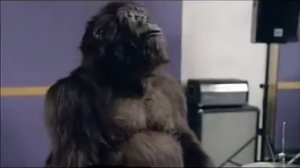 Cadbury - Gorilla commercial with In the Air Tonight by Phil Collins