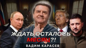 Дело в шляпе, или Закрутилось… Карасев LIVE