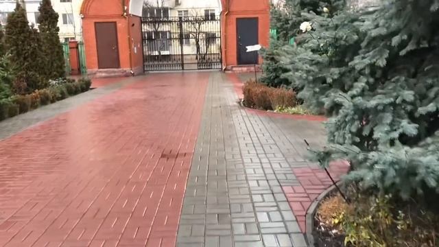 Вы Видели Таких Отчаянных В Декабре? смотреть онлайн