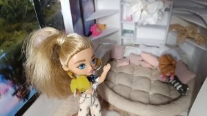 ТАБА ЛАПКА🐾 застряла в волосах. Как мы вытаскивали таба лапку!