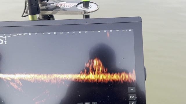 The best settings for Livescope