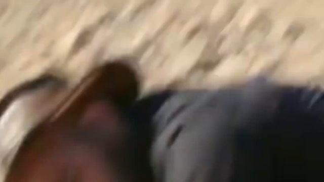 Brave Wilderness - Tarantula Hawk, but i edited it funnier. смотреть онлайн