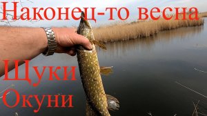 Ловля весенней щуки, на что клюёт щука весной!!!Март 15.03.25 г