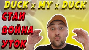 ТЕЛЕГРАМ БОТ DUCK my DUCK❗БИТВА УТОК❗ЧТО ТАКОЕ СТАИ❓ #duckmyduck #дакмайдак