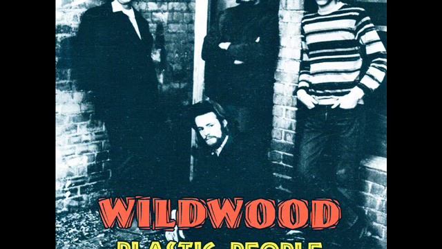 Wildwood [US - Psychedelic Rock] Durango 1971 смотреть онлайн