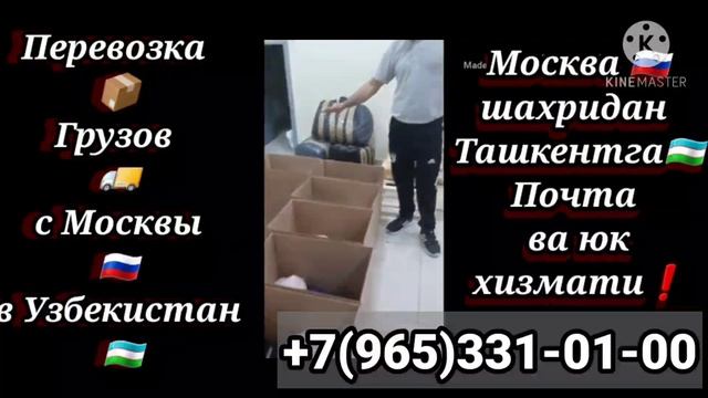 Москва Ташкент почта, юк, карго, грузоперевозки Санкт-Петербург Ташкент грузоперевозки, почта, карг
