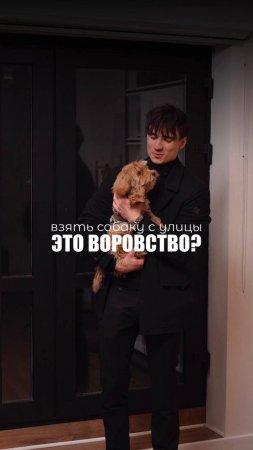 ЭТО ВОРОВСТВО?!