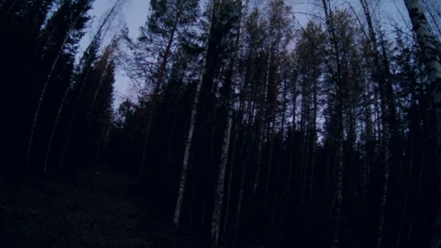 Весенняя охота на глухаря. Вологодчина. Охота На Охоту. смотреть онлайн