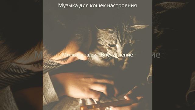 Настроения (Котята) смотреть онлайн