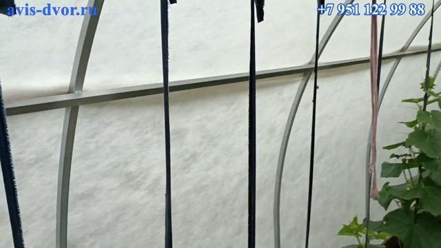 Укрывной или поликарбонат, что выбрать?