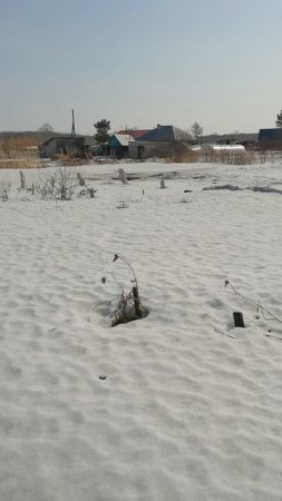 19 марта теплота +9 градусов Новосибирская область