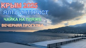 КРЫМ 2025 | ЯЛТА ИНТУРИСТ | ЧАЙКА НА ПЛЯЖЕ | ВЕЧЕРНЯЯ ПРОГУЛКА ❤️🌊⛰🌴🏖🐬☀️🚵♂️