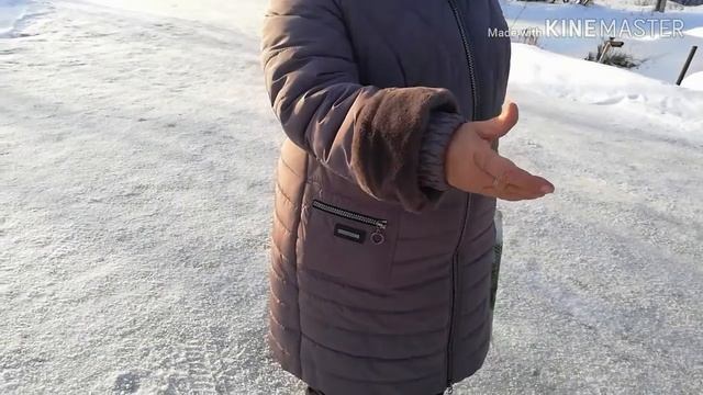 VLOG. Вопросы хозяйке собачьего приюта смотреть онлайн