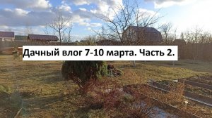 Дачный влог 7-10 марта. Часть 2