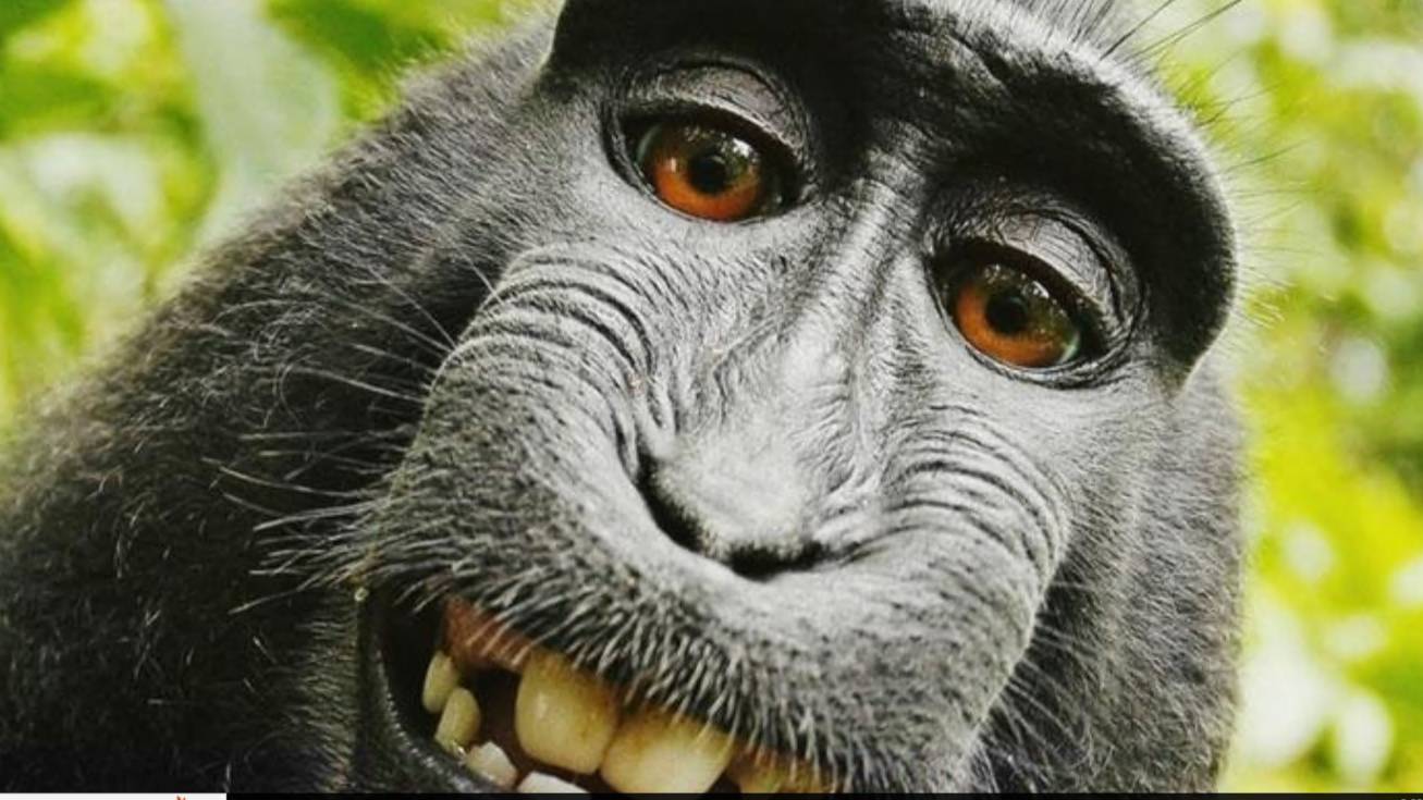 ШеДеВр ВиНдА. Сыллка на кнаф в описании. смотреть онлайн