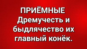 Приёмные/Обзор.