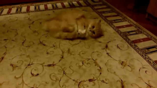 Псих смотреть онлайн