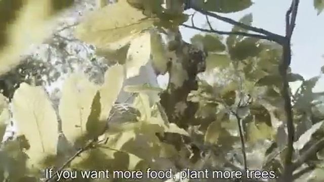 Takeout Documentary 2020 | Веганские постные продукты VolkoMolko . ВолкоМолко смотреть онлайн