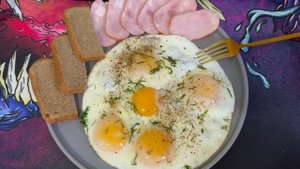 MyLittleSHOWforYOUЗавтрак чемпиона высокобелковая и вкусная еда
