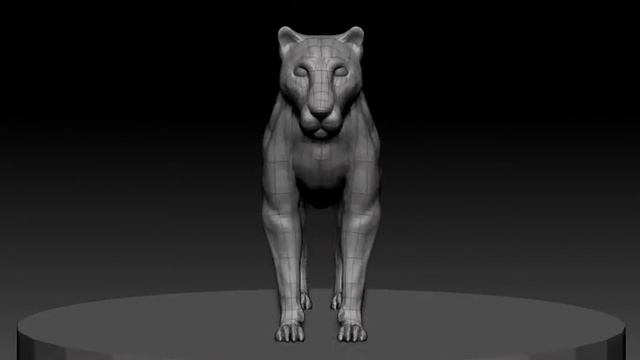Lioness Anatomy in zbrush/maya смотреть онлайн
