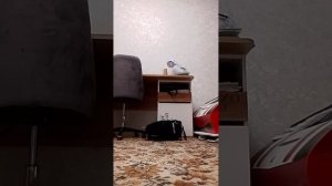 эксперименты и фокусы