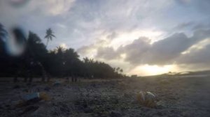 Жизнь крабов.