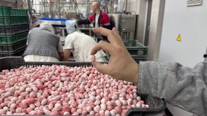 Линия производства драже от компании ПРОСТОР-К