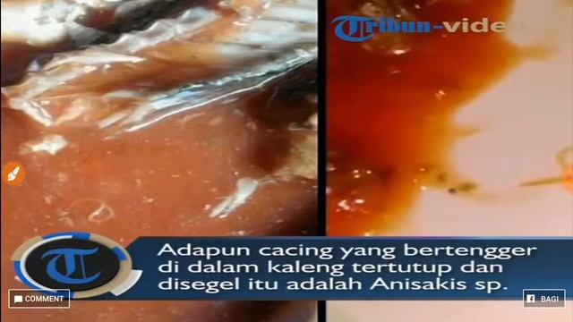 Waspada BPOM Menyatakan 3 Merk Sarden Mengandung Cacing смотреть онлайн