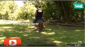 Large Over Weight Girl Rides Small Little Pony - Is This Abuse? I Say Yes