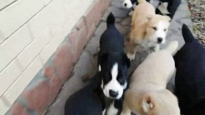 Кто молодец? Все молодцы!