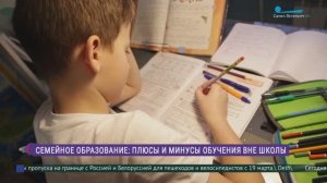 Семейное образование:плюсы и минусы обучения вне школы