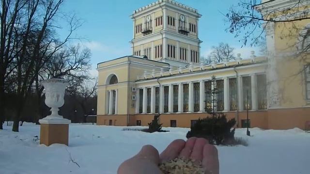 DSCF4495 смотреть онлайн