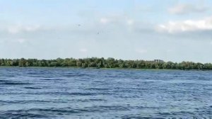 Закон тайги 19 - 22 серия | Премьера 2024