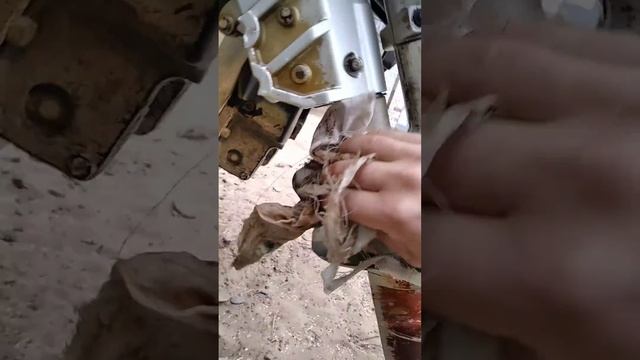 Азелит делает вещи смотреть онлайн