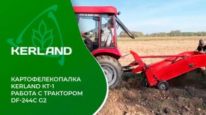 🔥 Картофелекопалка Kerland KT-1 в работе с трактором Dongfeng DF-244С G2